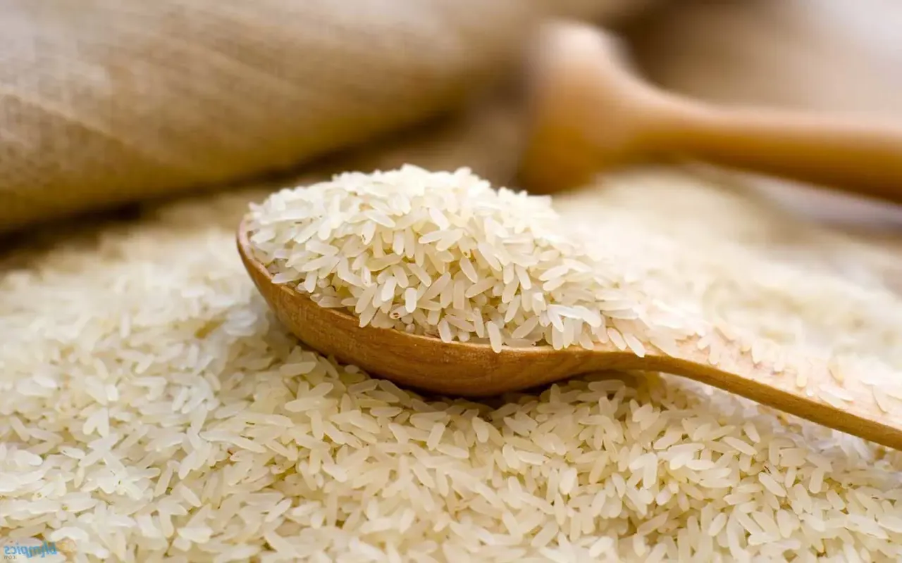 سعر طن الأرز الشعير اليوم الثلاثاء 20 أكتوبر 2026 في الأسواق