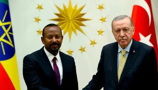 اردغان وابي احمد