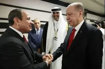 الرئيس السبسي والرئيس التركي