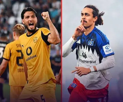 بوروسيا دورتموند