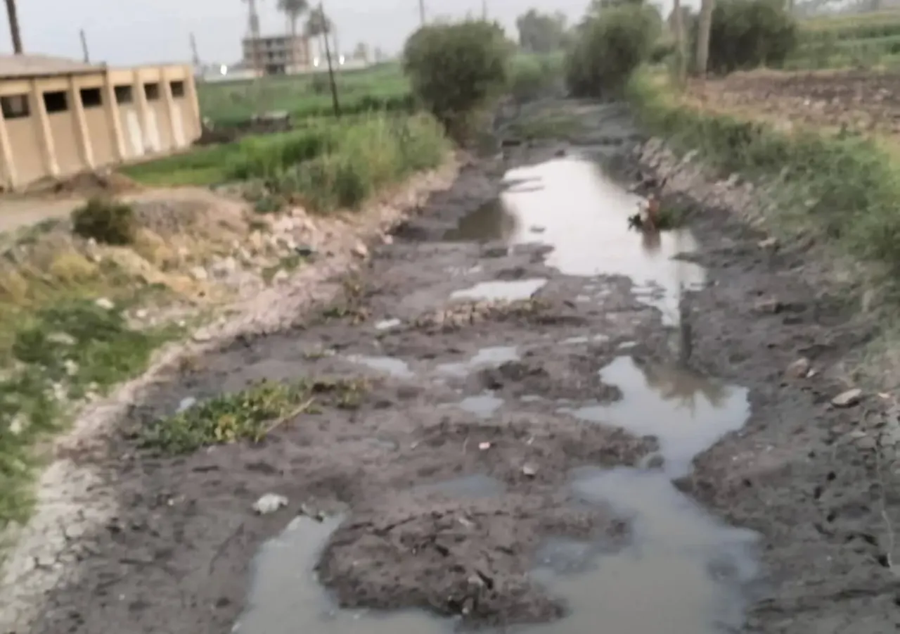 جفاف في ترعة سمسطا