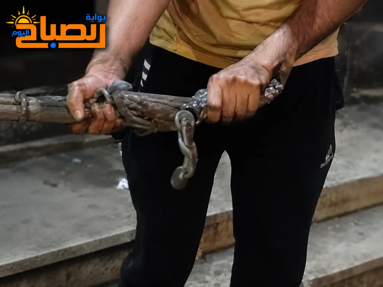 رجل يمسك بتمساح صعير