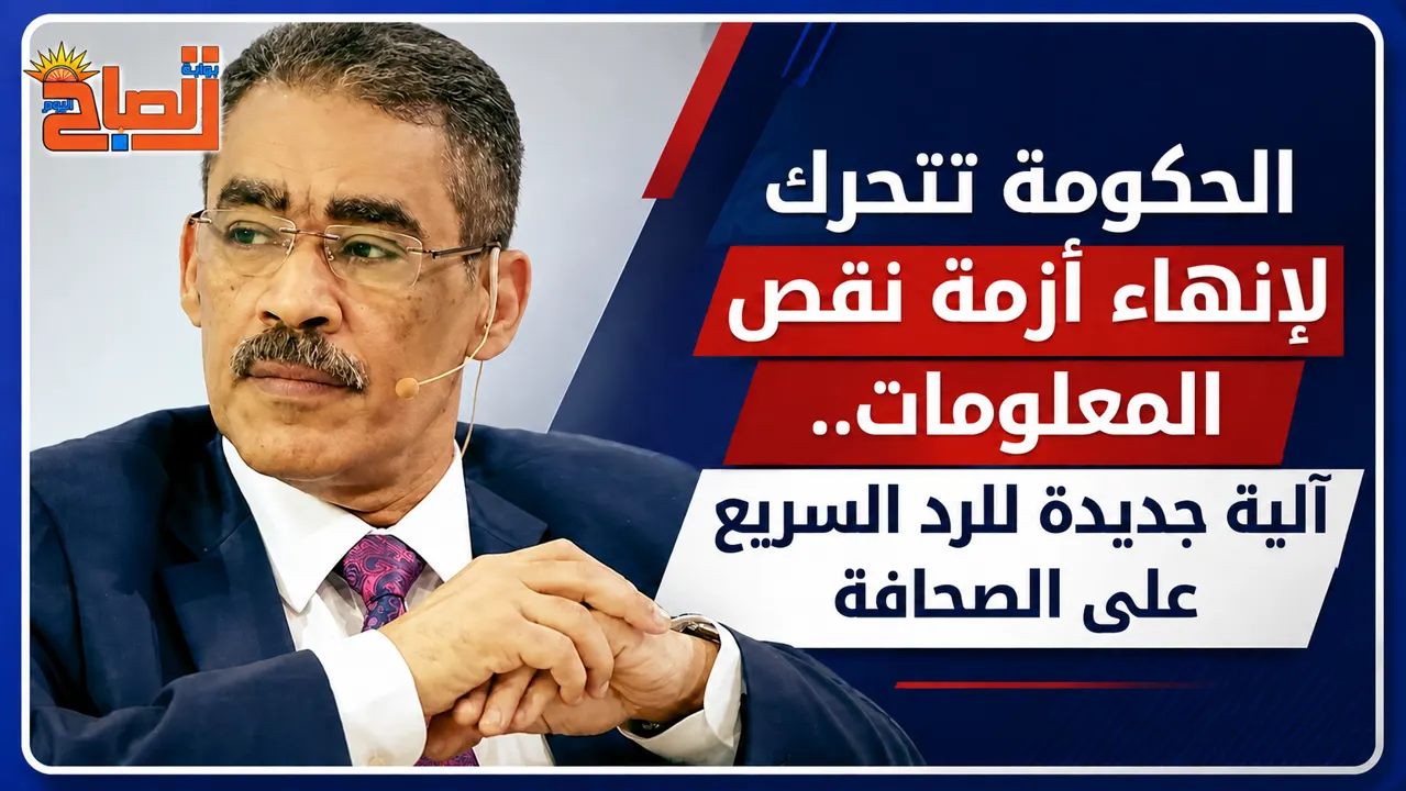 ضياء رشوان وتدفق المعلومات 