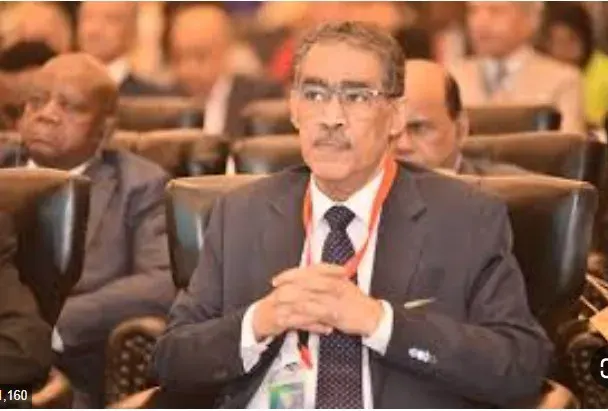 ضياء رشوان وزير الإعلام.