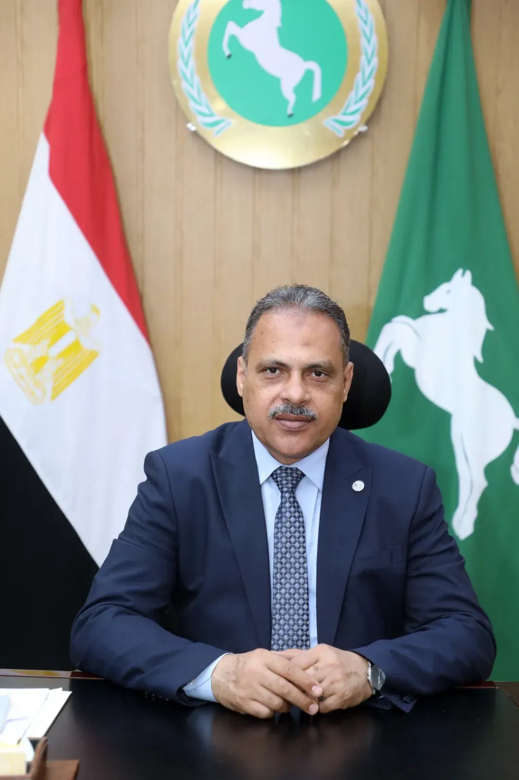 محافظ الشرقية