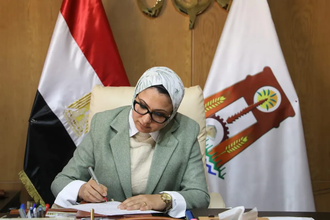 محافظ الوادي الجديد.
