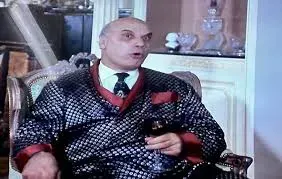 الفنان محمود زهيري