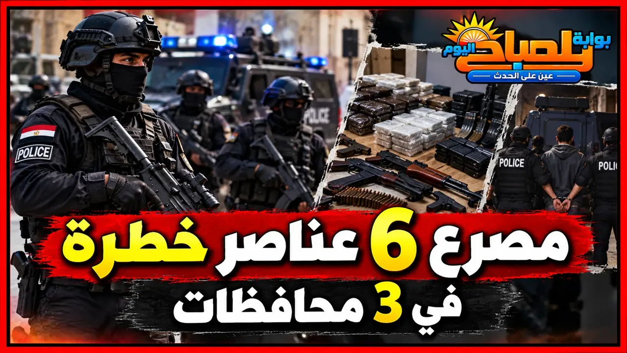 مصرع عناصر خطرة 