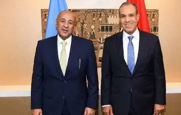 بدر عبد العاطي يؤكد: أمن دول الخليج جزء أساسي من الأمن القومي المصري