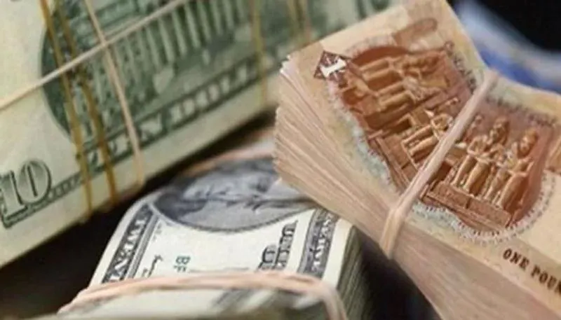 أستقرار سعر الدولار اليوم في مصر الأربعاء 30 أكتوبر 2024