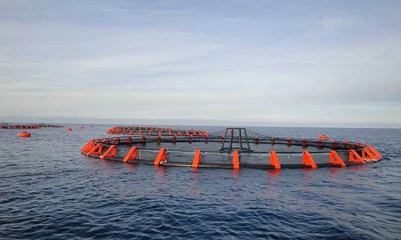 الحكومة تنفي بيع بحيرة البردويل.. وتعلن إسناد تنميتها إلى جهاز «مستقبل مصر»