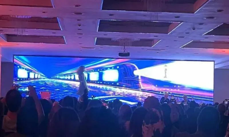 مهرجان القاهرة السينمائي الدولي يكرم يسري نصرالله وأحمد عز و دانيس تانوفيتش