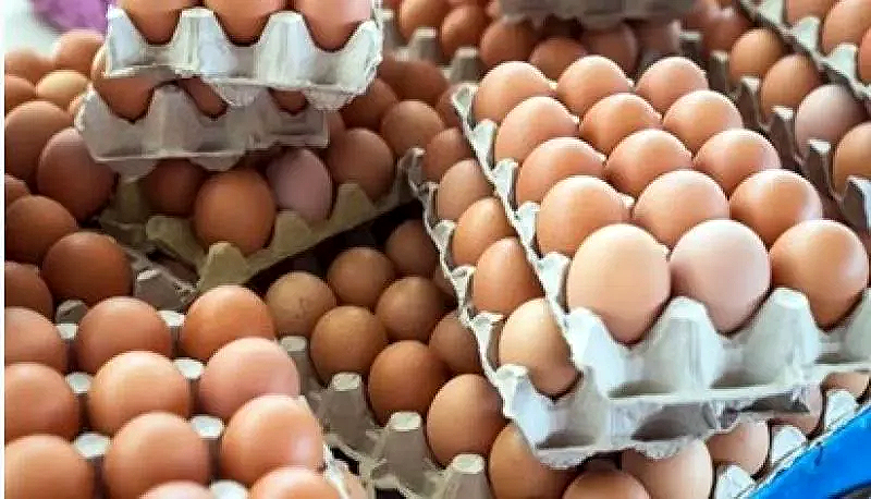 تفاصيل استيراد مصر ل30 مليون بيضه من تركيا