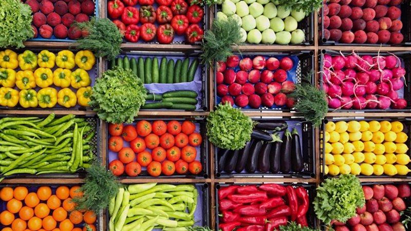 ”تراجع معدل التضخم الشهري” الحكومة في الطريق الصحيح نحو الإصلاح الاقتصادي