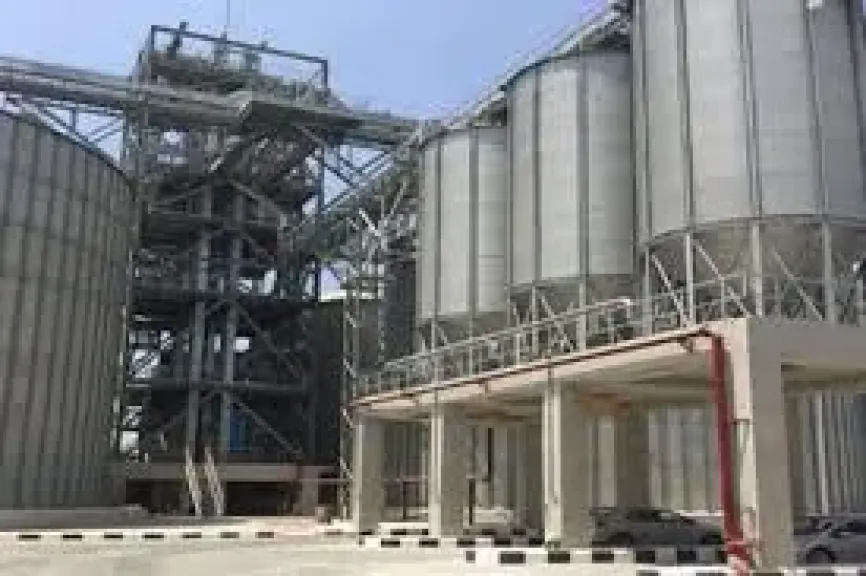 القبض على المتهمين بسرقة 140 طنًا من عهدة صومعة في بني سويف