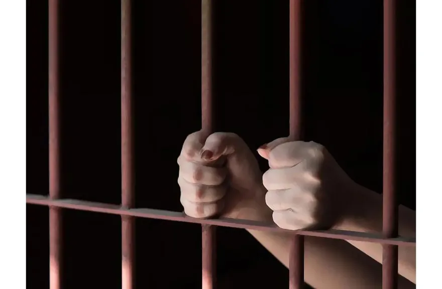 جريمة مروعة للفوز بالعشيق.. امرأة تتخلص من زوجها وحماتها لتتزوج شقيقه (1)