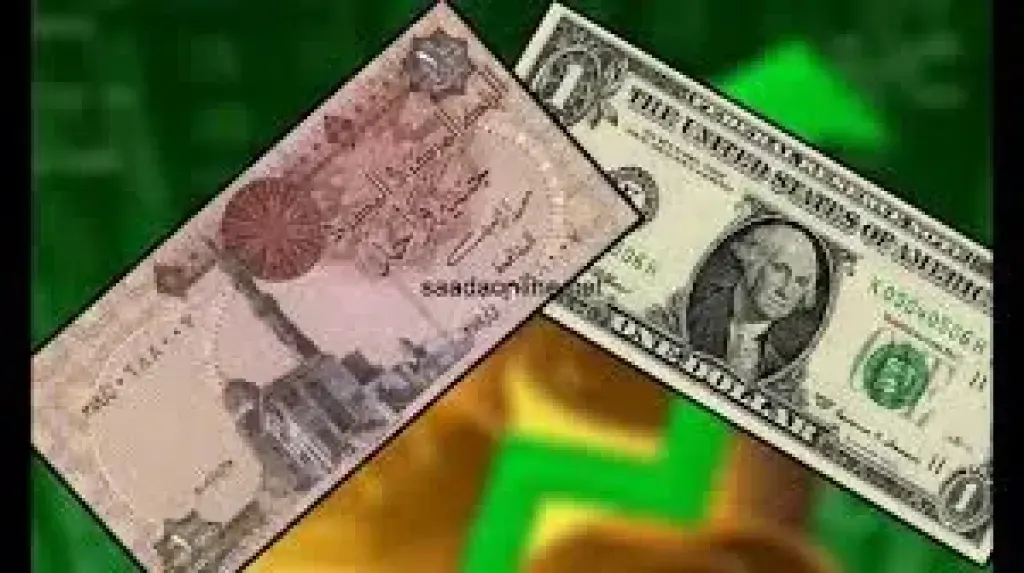 استقرار الدولار في مصر: قراءة شاملة لتحديثات البنك المركزي والدين الخارجي في فبراير 2025