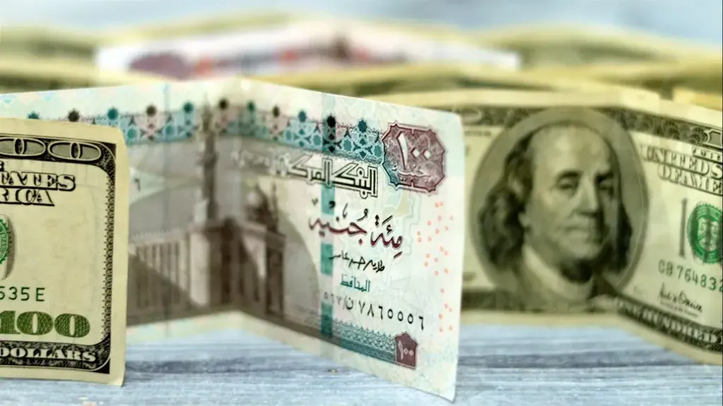 ارتفاع سعر الدولار أمام الجنيه المصري يعكس التزام البنك المركزي بنظام الصرف المرن