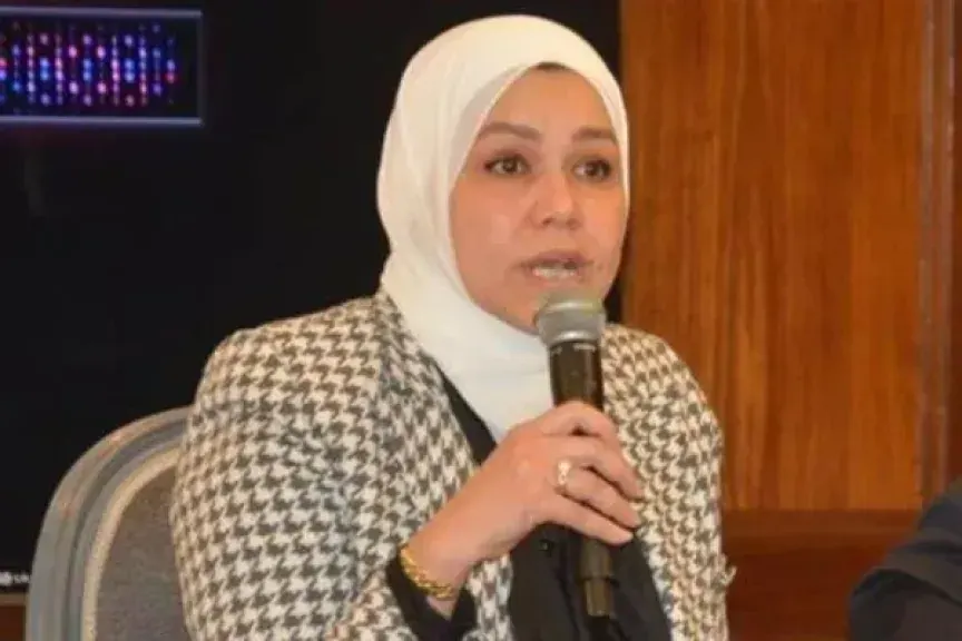حملة الترويجية  لنظام الضرائب المصري الجديد