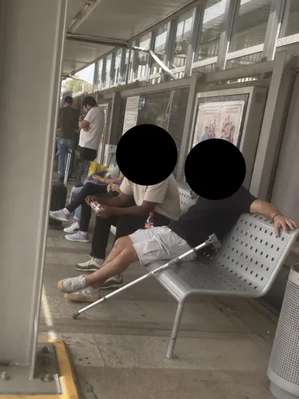 فنانة تشكيلية إسرائيلية تفضح جرائم الاحتلال في غزة: ”أطلقنا النار عليهم بعد أن أغريناهم بالطعام وكأنها لعبة فيديو”