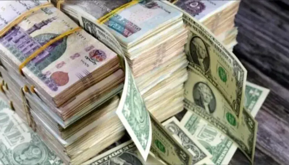 سعر الدولار في مصر اليوم 18 مايو 2025 و توقعات بارتفاعه إلى 51.75 جنيه في العام المالي المقبل