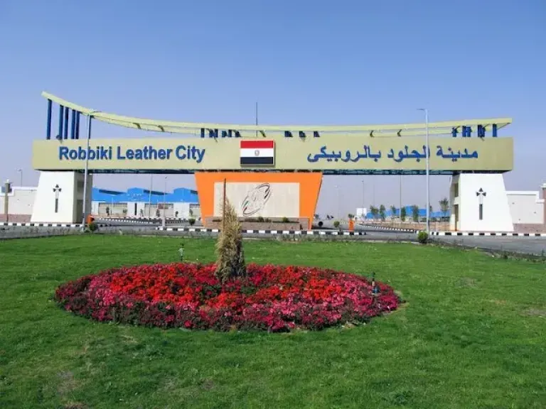 التصديري للجلود: الذبح خارج المجازر يهدد جودة الجلود