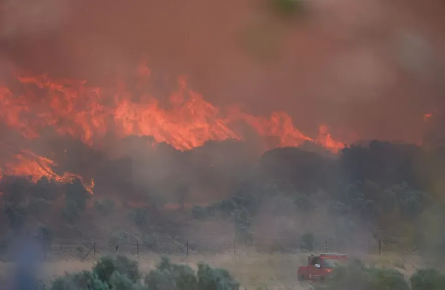 الرياح  تشعل كارثة بيئية في إزمير.. تركيا تخلي قرى بأكملها والحرائق تلتهم الغابات