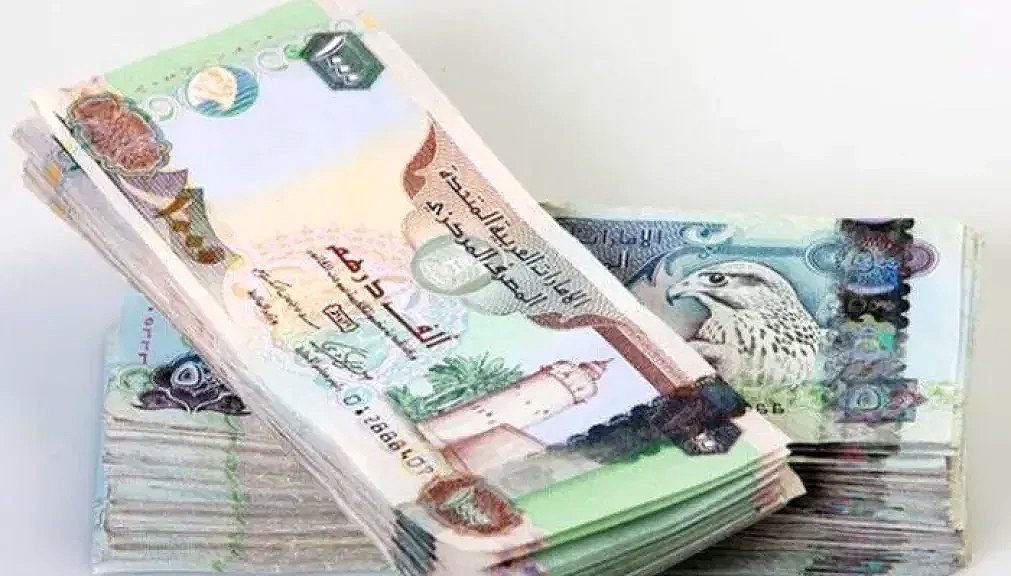 استقرار سعر الدرهم الإماراتي أمام الجنيه المصري اليوم الخميس 17 يوليو 2025