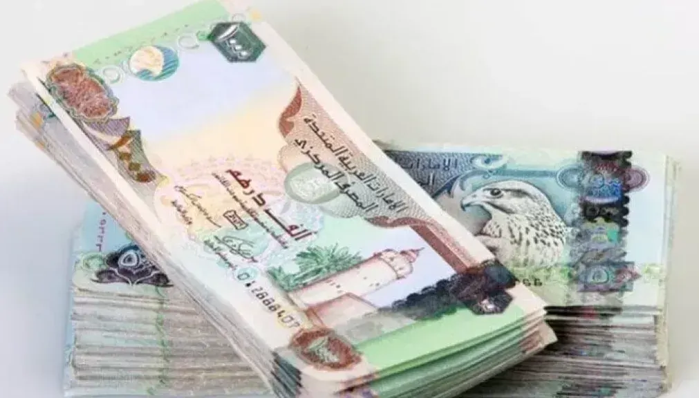سعر الدرهم الإماراتي مقابل الجنيه المصري اليوم الأحد 20 يوليو 2025