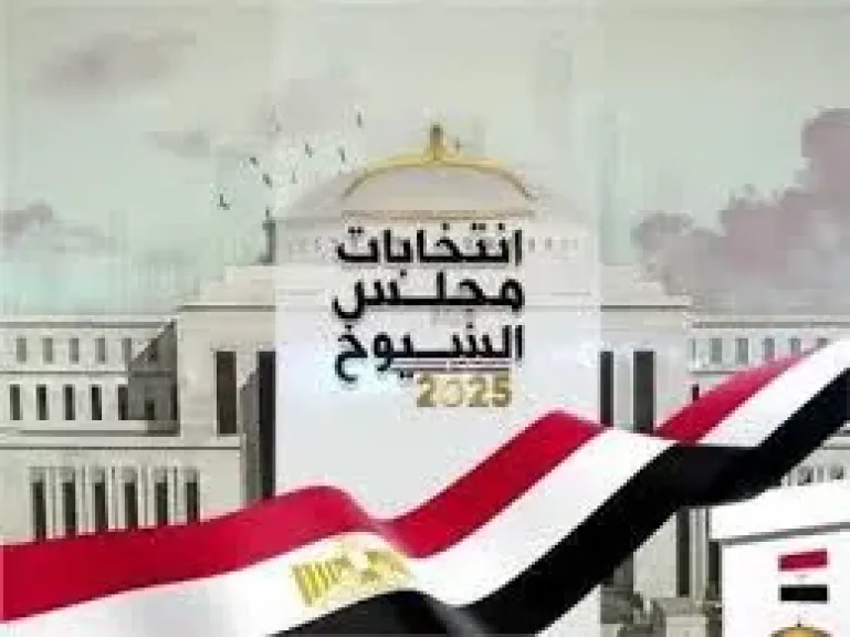 المصريون بالخارج على موعد غدًا مع جولة الإعادة لانتخابات مجلس الشيوخ 2025