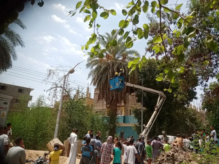 قرد هارب يثير الذعر بين أهالي نجع الديمقراط بالأقصر.. وتحذيرات من مخاطر صحية محتملة-- فيديو