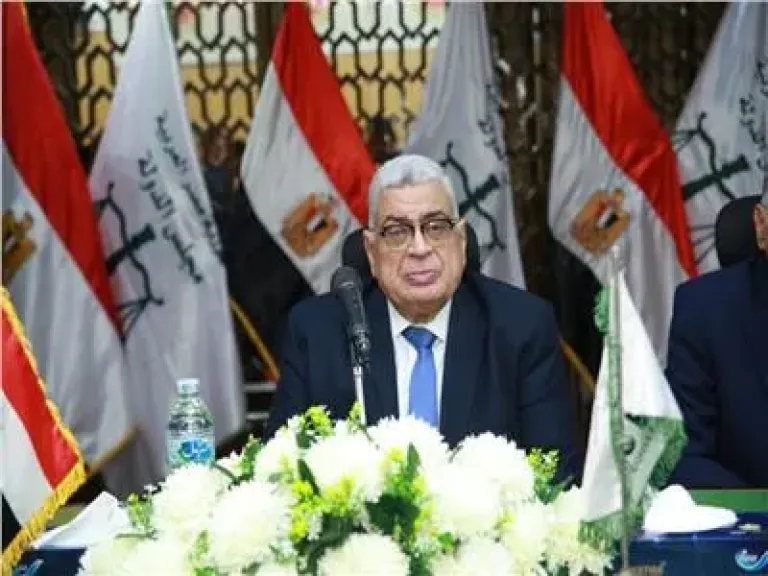 القومي للمرأة شريك أساسي في التنمية المستدامة.. رئيس مجلس الدولة يوضح