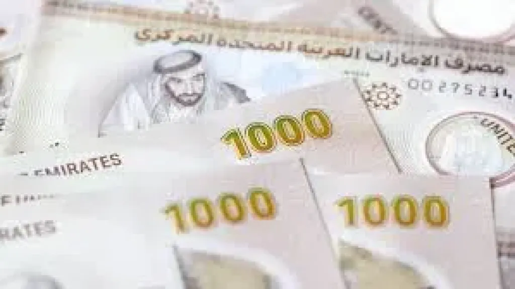 سعر الدرهم الإماراتي مقابل الجنيه المصري اليوم الأربعاء 27 أغسطس 2025