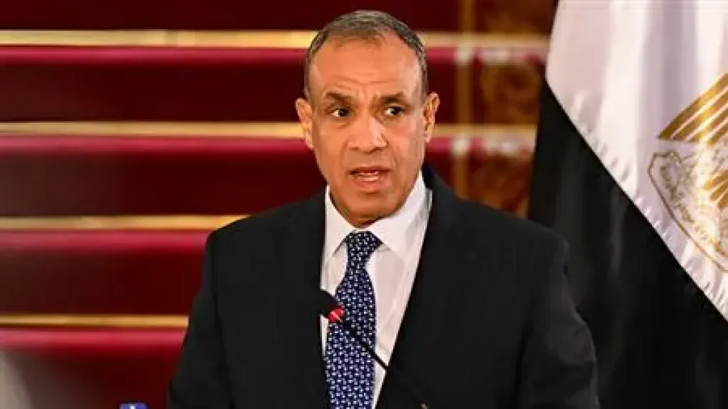 وزير الخارجية: مصر ترفض أي مخططات لتهجير الفلسطينيين وتعتبرها خطًا أحمر