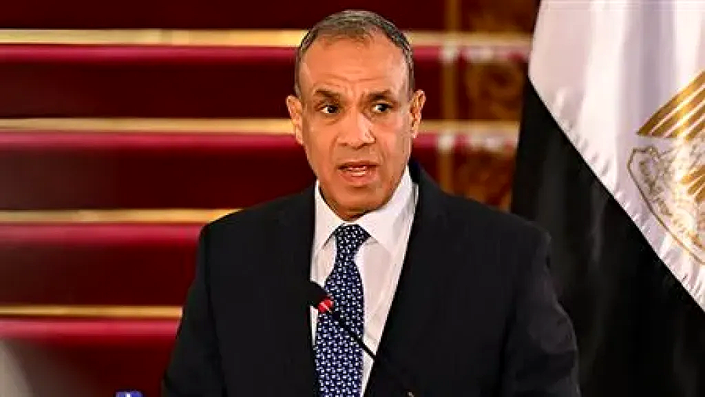 وزير الخارجية: مصر ترفض أي مخططات لتهجير الفلسطينيين وتعتبرها خطًا أحمر