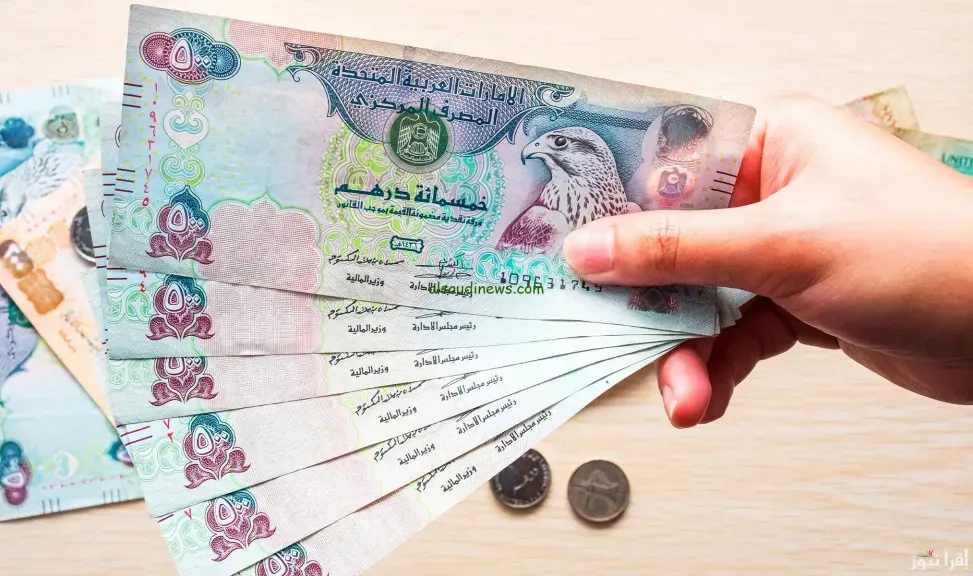 سعر الدرهم الإماراتي أمام الجنيه اليوم السبت 30 أغسطس 2025
