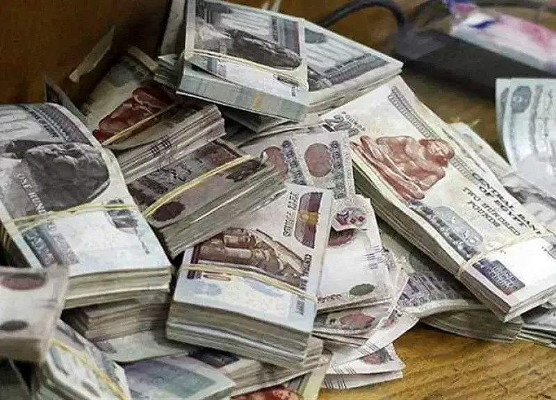 رابط وخطوات التسجيل في منحة العمالة غير المنتظمة 2025.. والمستندات المطلوبة للحصول على الدعم