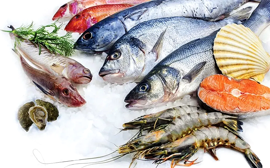 مفاجآت جديدة في سوق البحر.. أسعار الأسماك والجمبري الأربعاء 10 سبتمبر