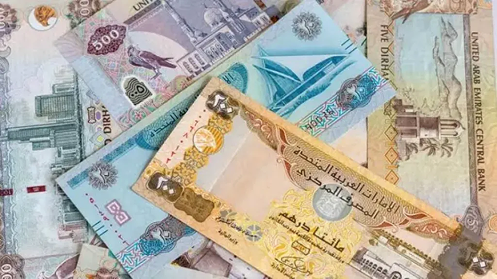 سعر الدرهم الإماراتي اليوم الخميس 11 سبتمبر 2025 أمام الجنيه المصري