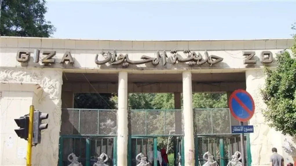 بين الأسطورة والواقع.. متى تفتح أبواب حديقة الحيوان بعد 3 سنوات من الغلق والتطوير؟