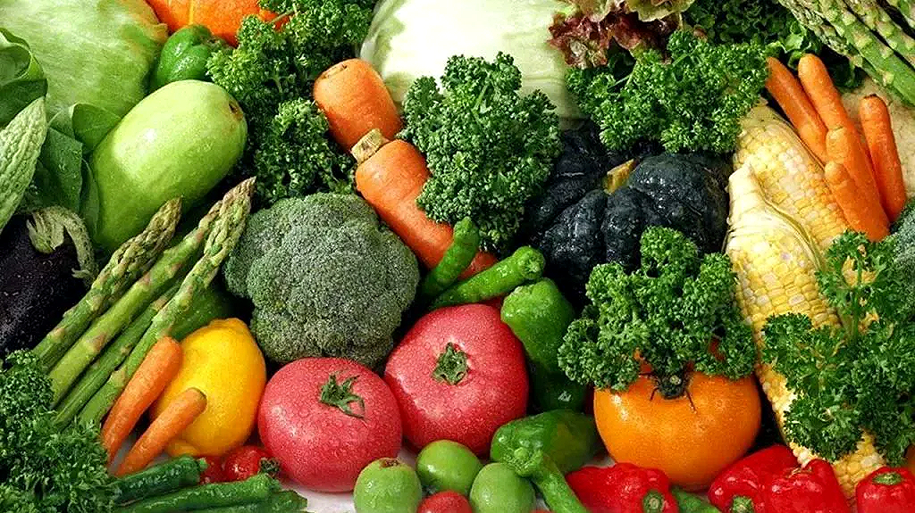 التفاح يسجل حضورًا قويًا.. أحدث أسعار الفاكهة والخضار في مصر الخميس 18-9-2025