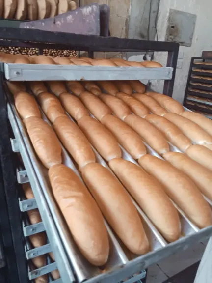 مع بداية العام الدراسي الجديد.. تموين كفر الشيخ يشن حملات مكثفة على المخابز والأسواق لضبط الأسعار وجودة السلع