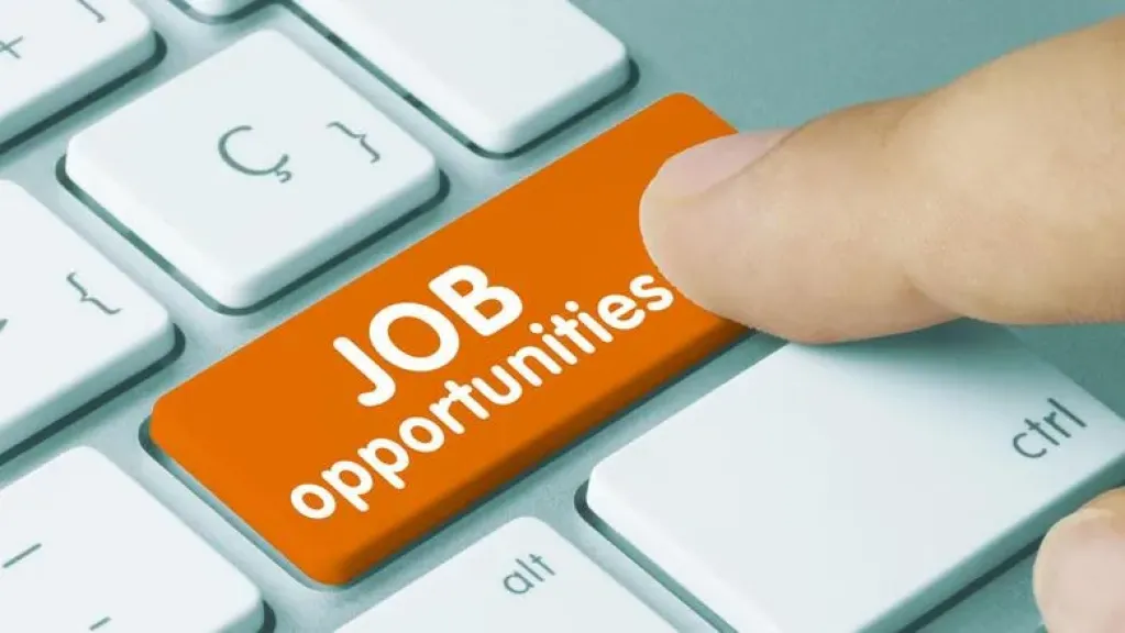 لو بتدور على شغل.. وظائف وزارة العمل 2025 والتقديم متاح في 11 محافظة