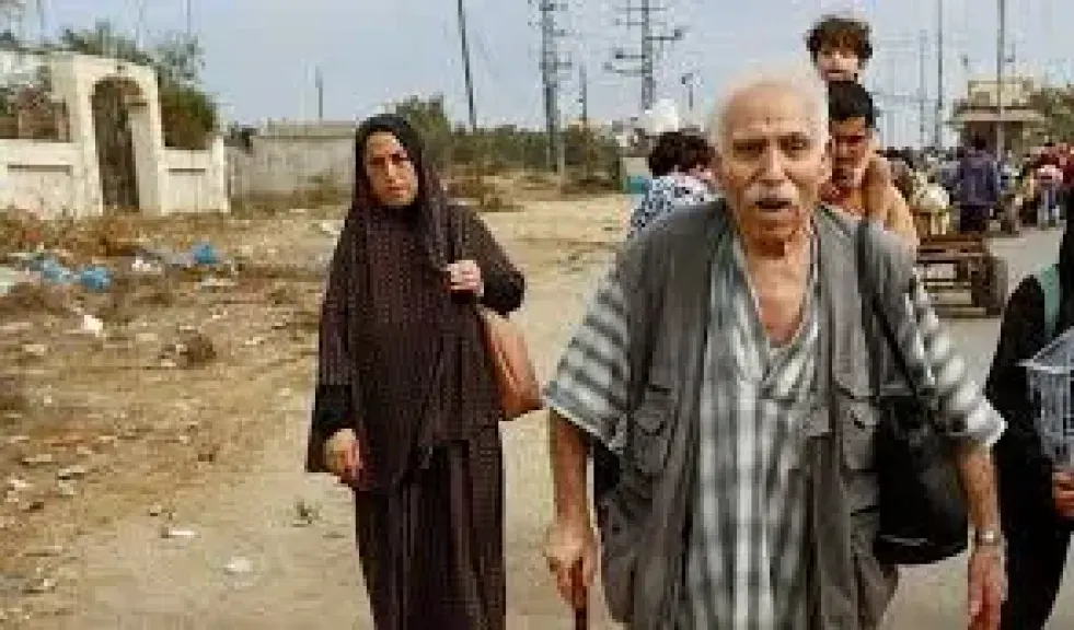 اليوم العالمي لكبار السن في فلسطين 2025: واقع مأساوي تحت الاحتلال