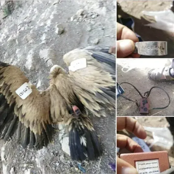 حديقة حيوانات الموساد الإسرائيلي.. حين تحولت الكائنات البرية إلى ”جواسيس سرية” !!!