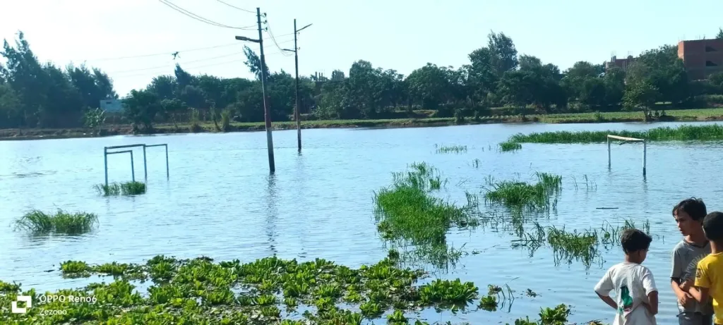 تحذير رسمي : إخلاء عاجل لأراضي طرح النهر بسبب مخاطر فيضان النيل في محافظتي المنوفية والبحيرة