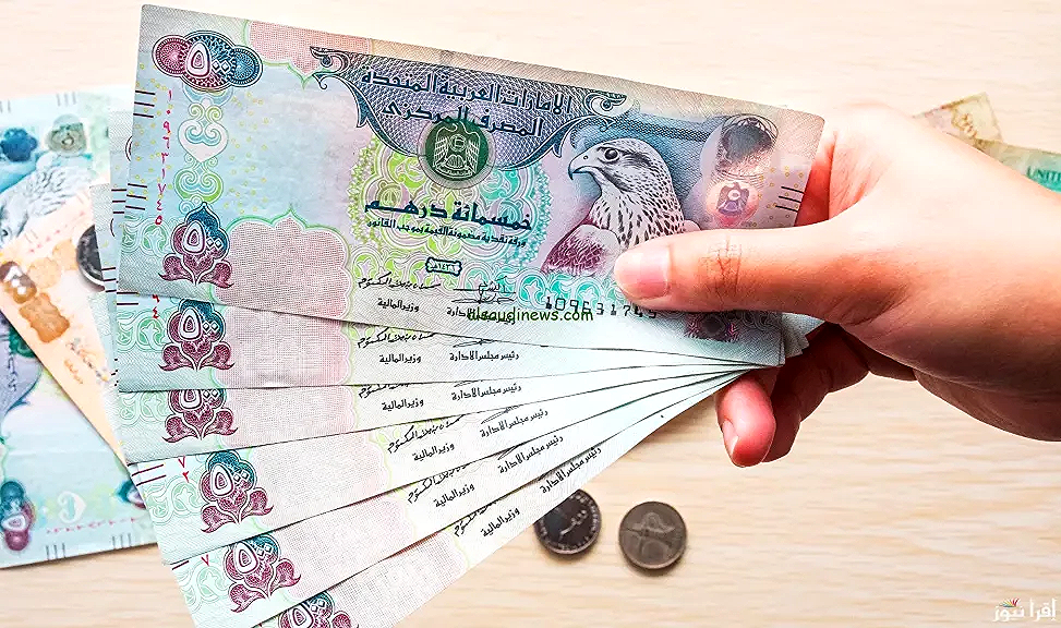 بعد قرار خفض الفائدة.. الدرهم الإماراتي يتحرك أمام الجنيه المصري اليوم السبت 4 أكتوبر 2025