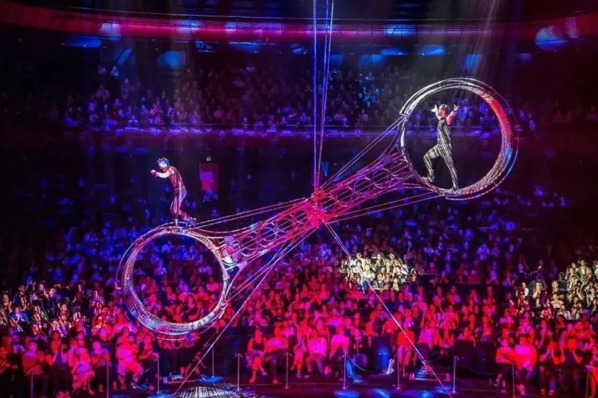 انطلاق “سيرك محمد الحلو” في المقطم.. عروض الأسود تشعل الأجواء في ليلة من الإبهار والقوة