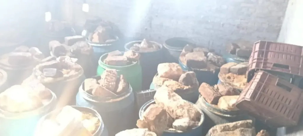 محافظ كفرالشيخ يعلن ضبط 12 طن فسيخ غير صالح للاستهلاك الآدمي.. حملات مكثفة لحماية صحة المواطنين