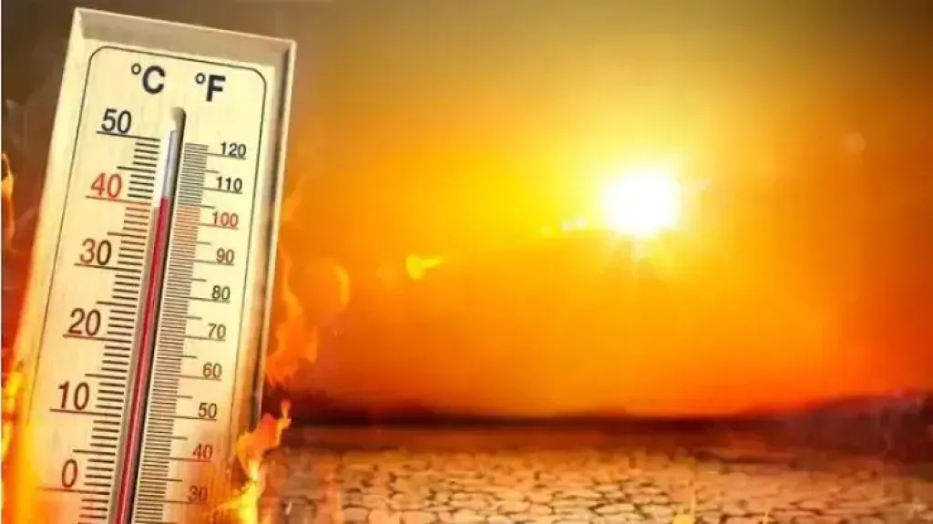 السماء صافية والشمس ساطعة!.. نوفمبر يرفع شعار (لسه الصيف ما خلصش)